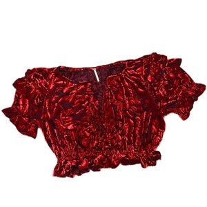 Free People Velveteen Dreams Blouse
